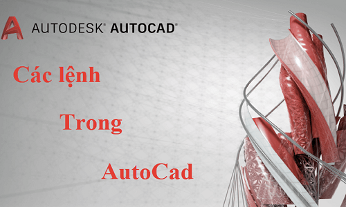 cac lenh co ban trong cad dellfcvietnam