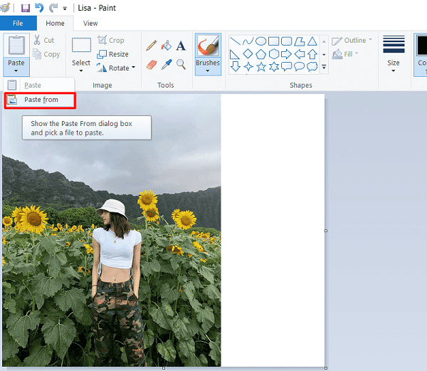 Hướng dẫn cách ghép ảnh trên máy tính chi tiết, đơn giản nhất 2023 2 cach ghep anh tren may tinh dellfcvietnam 2